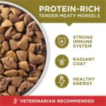 Purina ONE Dry Dog Food Lamb and Rice Formula - 31.1 lb. Bag - Image 3