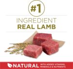Purina ONE Dry Dog Food Lamb and Rice Formula - 31.1 lb. Bag - Image 4