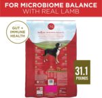 Purina ONE Dry Dog Food Lamb and Rice Formula - 31.1 lb. Bag - Image 7