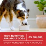 Purina ONE Dry Dog Food Lamb and Rice Formula - 31.1 lb. Bag - Image 8