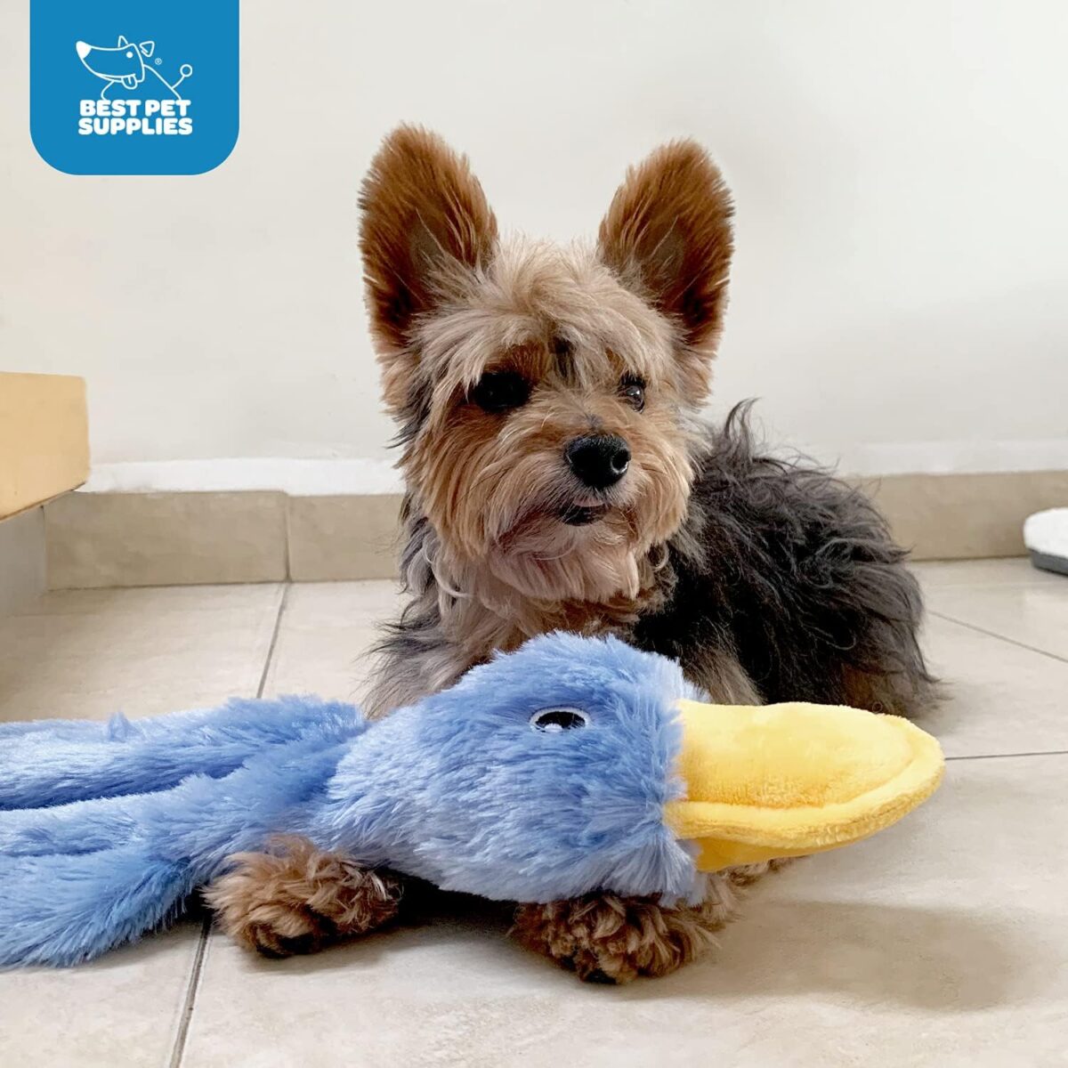 Best Pet Supplies Crinkle Dog Toy for Small, Medium, and Large Breeds, Cute No Stuffing Duck with Soft Squeaker, Fun for Indoor Puppies and Senior Pups, Plush No Mess Chew and Play - Yellow - Image 3