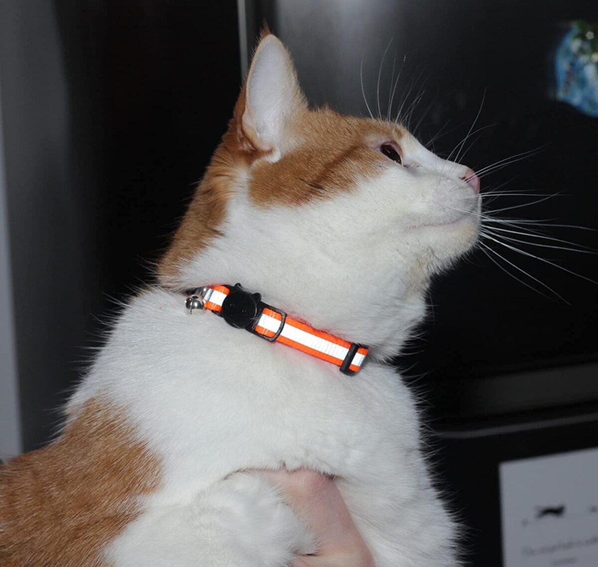 Reflective Cat Collar with Bell, Set of 6, Solid & Safe Collars for Cats, Nylon, Mixed Colors, Pet Collar, Breakaway Cat Collar Charms - Image 3