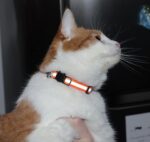 Reflective Cat Collar with Bell, Set of 6, Solid & Safe Collars for Cats, Nylon, Mixed Colors, Pet Collar, Breakaway Cat Collar Charms - Image 3