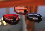 Reflective Cat Collar with Bell, Set of 6, Solid & Safe Collars for Cats, Nylon, Mixed Colors, Pet Collar, Breakaway Cat Collar Charms - Image 8