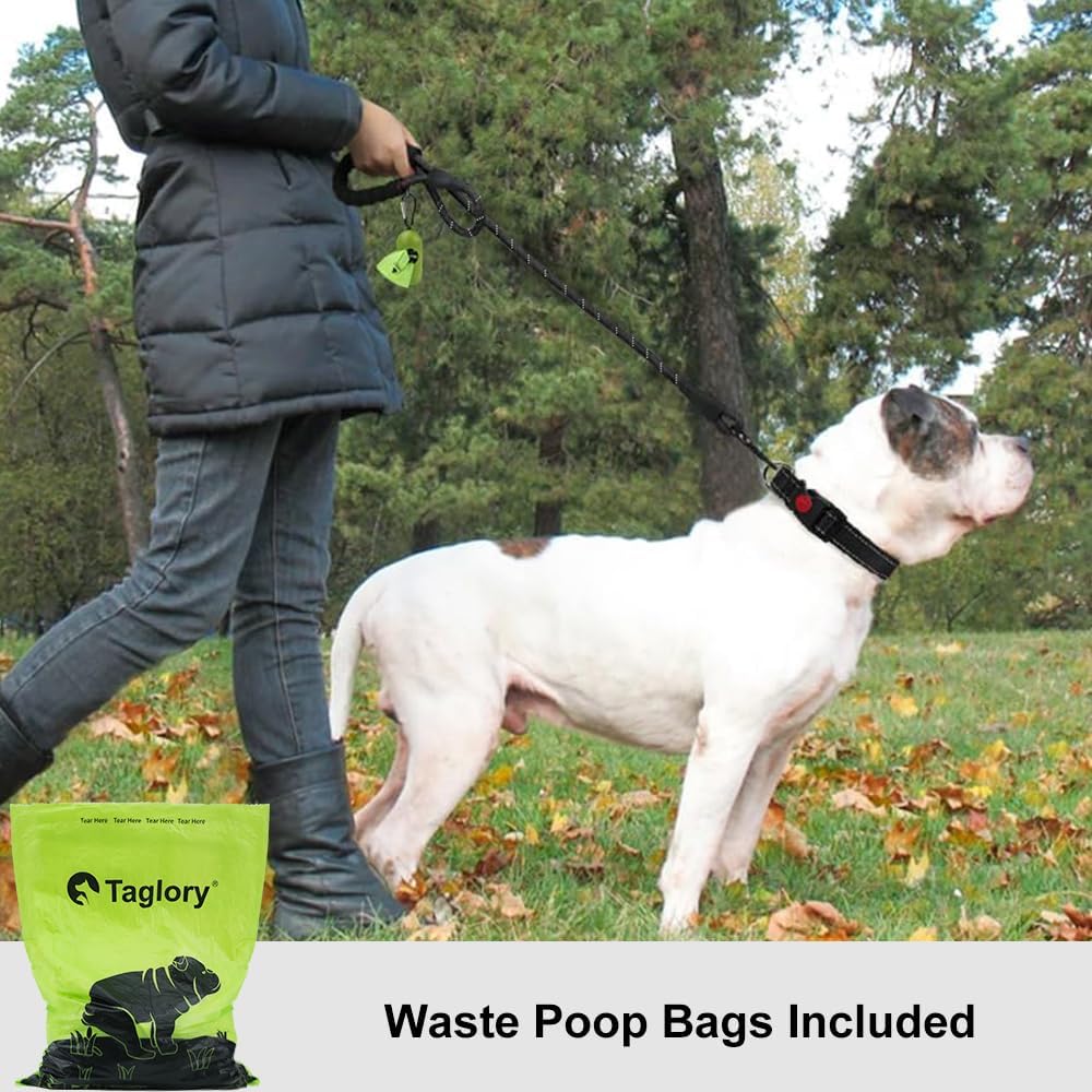 Taglory Rope Dog Leash 6 FT with Comfortable Padded Handle, Highly Reflective Threads Leash for Medium Large Dogs, 1/2 inch, Black - Image 3