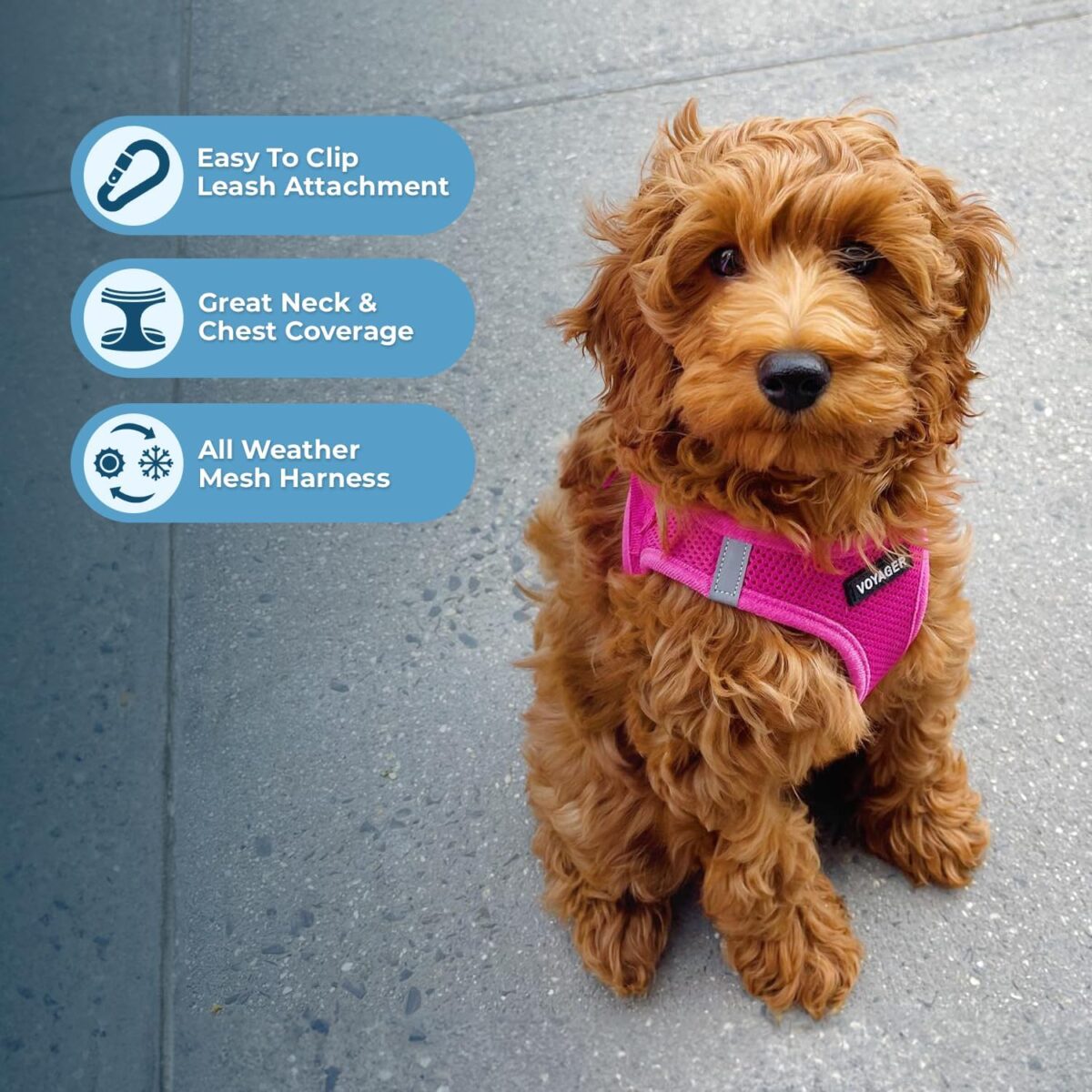 Best Pet Supplies Voyager Step-in Air Dog Harness - All Weather Mesh, Reflective, No Pull Harness for Small, Medium Dogs, Cats - Secure with Hook & Loop Fastener, Buckle, Double D-Rings - Fuchsia, S - Image 4