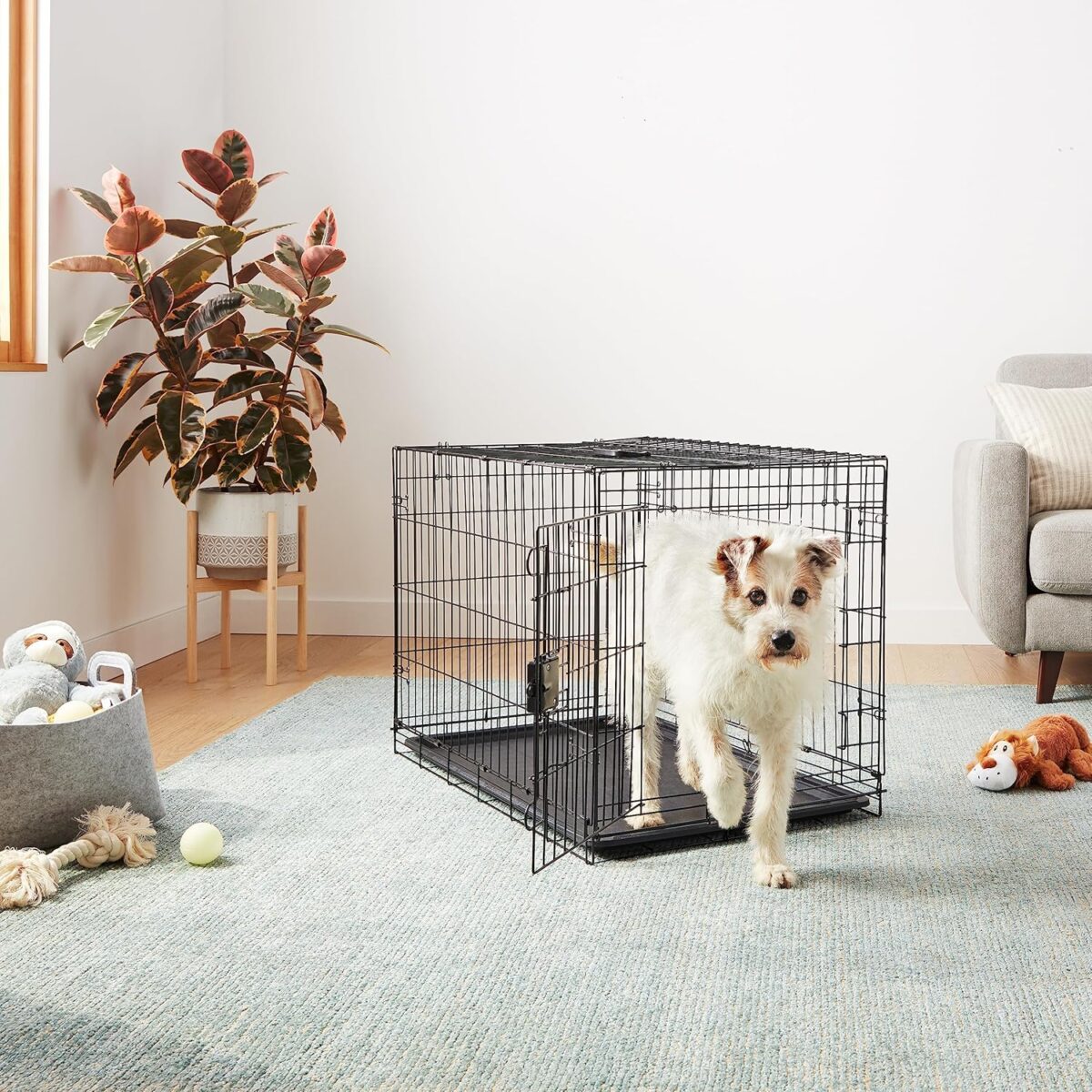 Amazon Basics Durable, Foldable, Collapsible, Portable Metal Wire Dog Crate with Tray, Single Door with Divider Panel, Easy to Assemble & Clean, 36 x 23 x 25 in, Black - Image 7