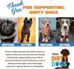 Wahl USA Dry Skin & Itch Relief Pet Shampoo for Dogs – Oatmeal Formula with Coconut Lime Verbena Scent & Pet Friendly Formula, 24 Oz - Model 820004A - Image 10