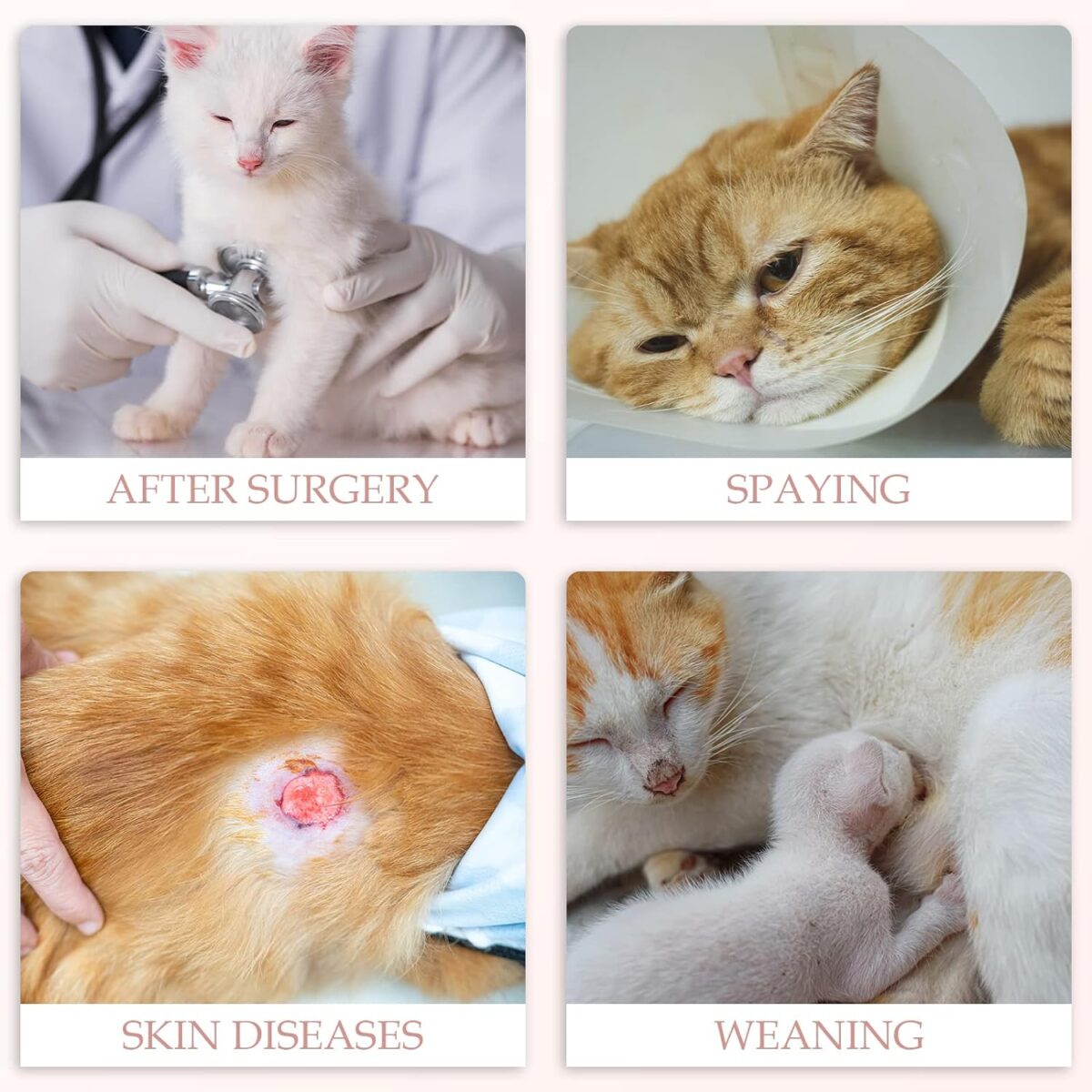 ANWA 2 Pack Cat Recovery Suit - Breathable Cat Onesie for Cats After Surgery Female, Kitten Surgery Recovery Suit Female Abdominal Wounds - Image 7