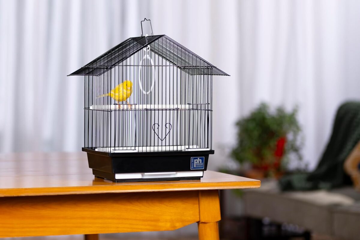 Prevue Pet Products Parakeet Manor Bird Cage with Handle for Home or Travel, Black - Image 5