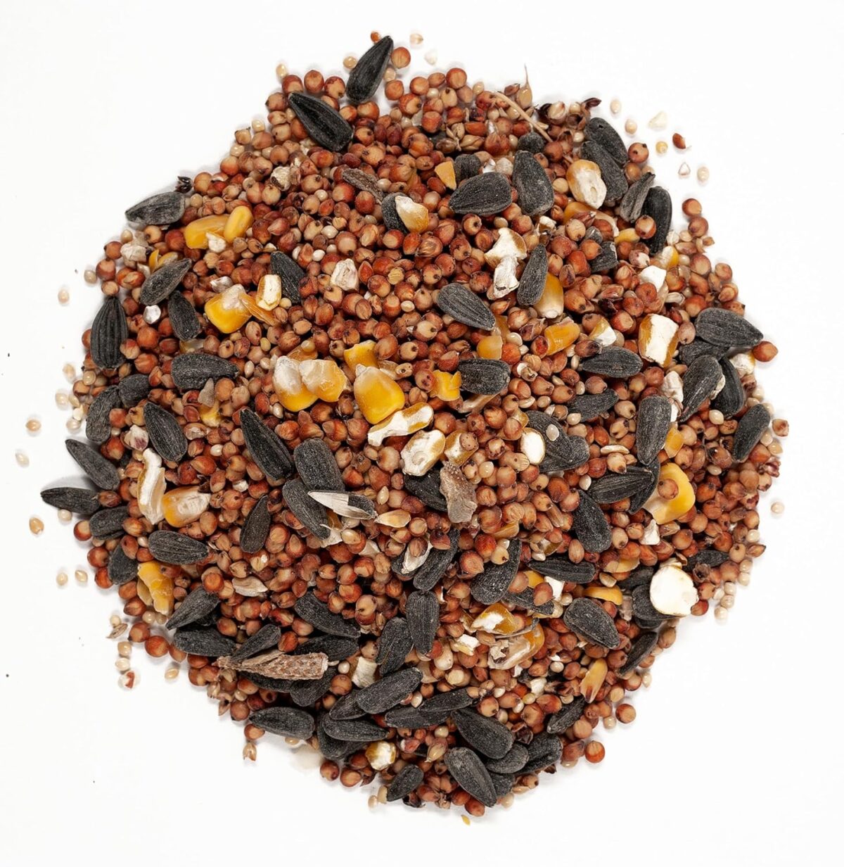 Wagner's 53002 Farmer's Delight Wild Bird Food with Cherry Flavor, 10-Pound Bag - Image 4