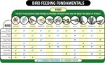 Wagner's 53002 Farmer's Delight Wild Bird Food with Cherry Flavor, 10-Pound Bag - Image 5