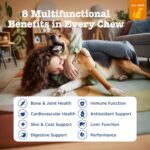 Zesty Paws Dog Multivitamin, Chewable Dog Vitamins and Supplements for Hip & Joints, Skin & Coat, Omega 3 Fish Oil for Dogs- Senior & Puppy Multivitamin- Chicken- 90ct - Image 3