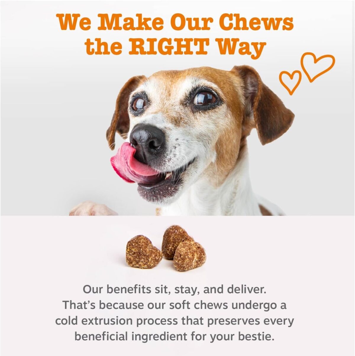 Zesty Paws Dog Multivitamin, Chewable Dog Vitamins and Supplements for Hip & Joints, Skin & Coat, Omega 3 Fish Oil for Dogs- Senior & Puppy Multivitamin- Chicken- 90ct - Image 7