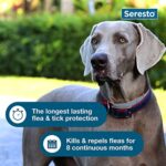 Seresto Large Dog Vet-Recommended Flea & Tick Treatment & Prevention Collar for Dogs Over 18 lbs. | 8 Months Protection - Image 7