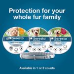 Seresto Large Dog Vet-Recommended Flea & Tick Treatment & Prevention Collar for Dogs Over 18 lbs. | 8 Months Protection - Image 10