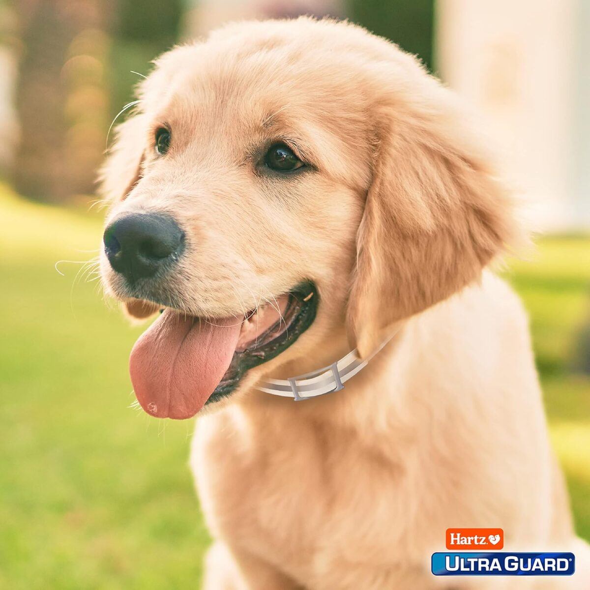 Hartz UltraGuard Pro Reflective Flea & Tick Collar for Dogs and Puppies, 7 Month Flea and Tick Prevention Per Collar, 1 Count - Image 9