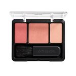 COVERGIRL Instant Cheekbones Contouring Blush Peach Perfection 210, .29 oz - Image 4
