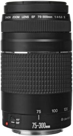 Canon EF 75-300mm f/4-5.6 III Telephoto Zoom Lens for Canon SLR Cameras, 6473A003 (Renewed) - Image 3