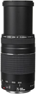 Canon EF 75-300mm f/4-5.6 III Telephoto Zoom Lens for Canon SLR Cameras, 6473A003 (Renewed) - Image 4