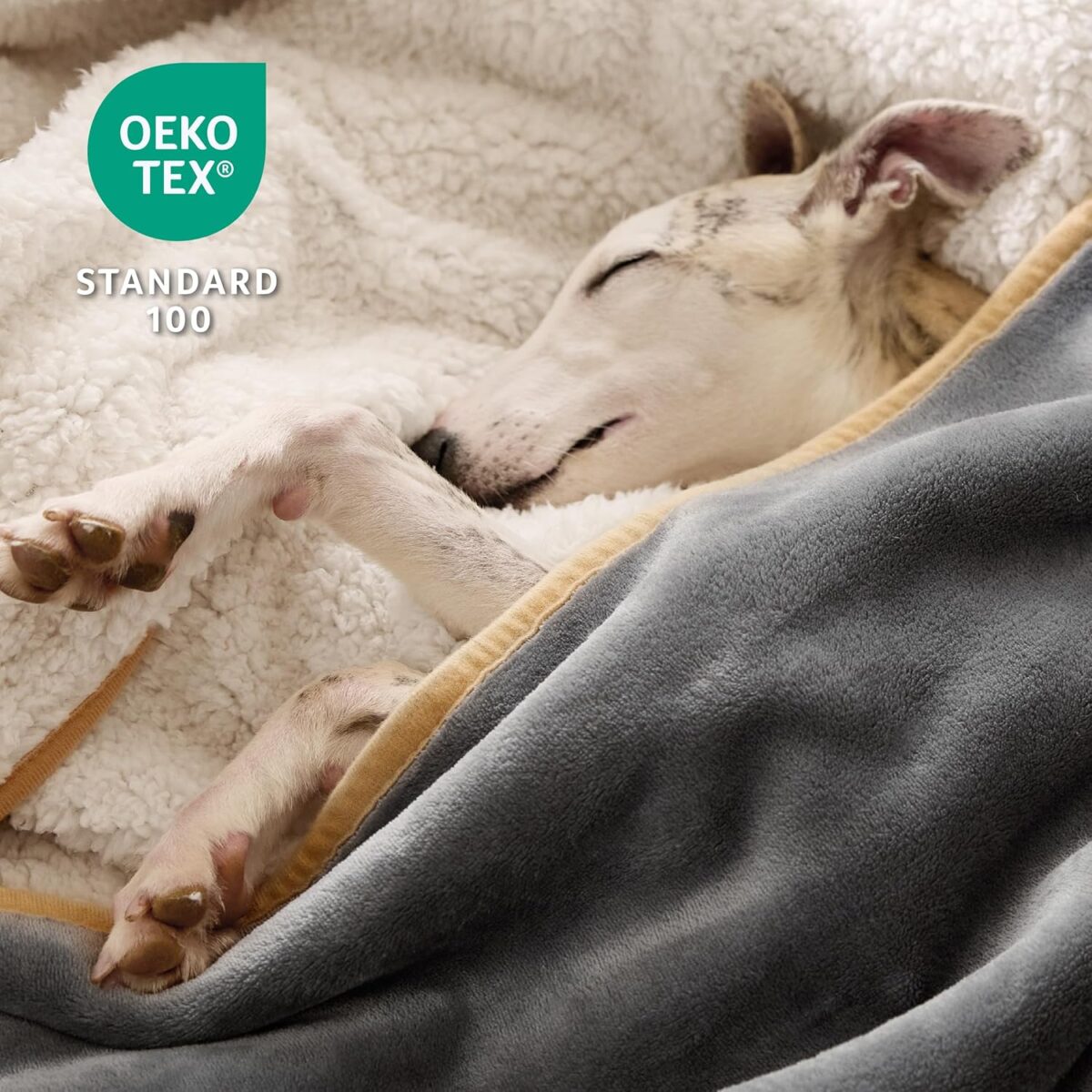 Bedsure Waterproof Dog Blankets for Small Dogs - Small Cat Blanket Washable for Couch Protection, Sherpa Fleece Puppy Blanket, Soft Plush Reversible Throw Furniture Protector, 25"X35", Grey - Image 4