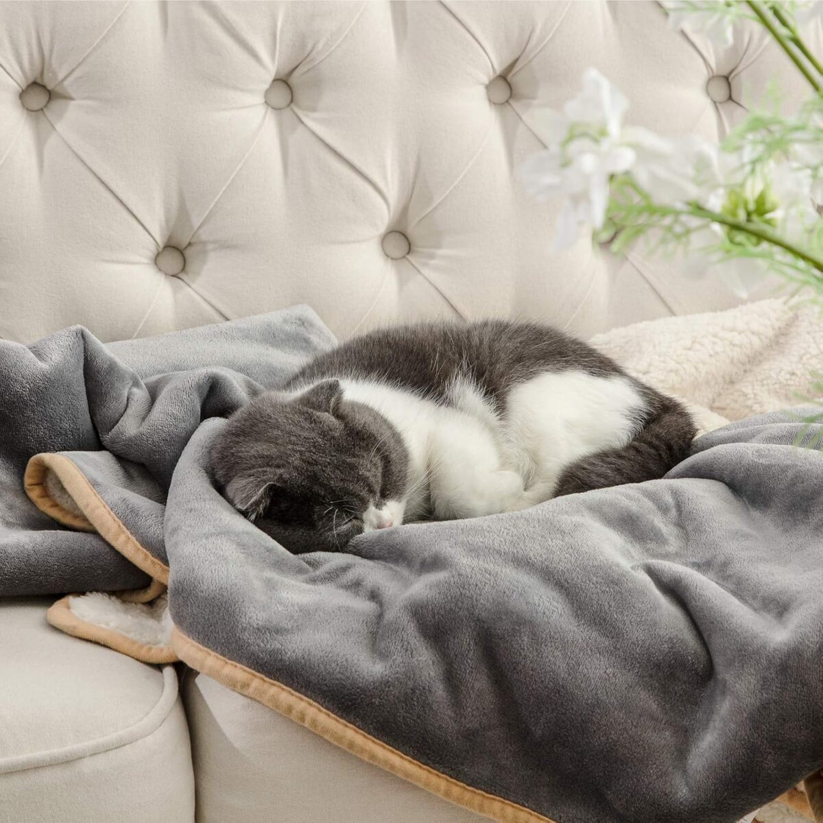 Bedsure Waterproof Dog Blankets for Small Dogs - Small Cat Blanket Washable for Couch Protection, Sherpa Fleece Puppy Blanket, Soft Plush Reversible Throw Furniture Protector, 25"X35", Grey - Image 10