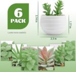 Der Rose Set of 6 Succulents Plants Artificial in Pots Small Fake Plants for Bedroom Aesthetic Living Room Shelf Bathroom Decor Office Desk Accessories - Image 3