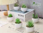 Der Rose Set of 6 Succulents Plants Artificial in Pots Small Fake Plants for Bedroom Aesthetic Living Room Shelf Bathroom Decor Office Desk Accessories - Image 7