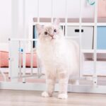Carlson Pet Products Metal Gate - Image 8