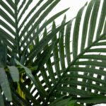 Nearly Natural 4ft Golden Cane Palm Artificial Tree - Image 8