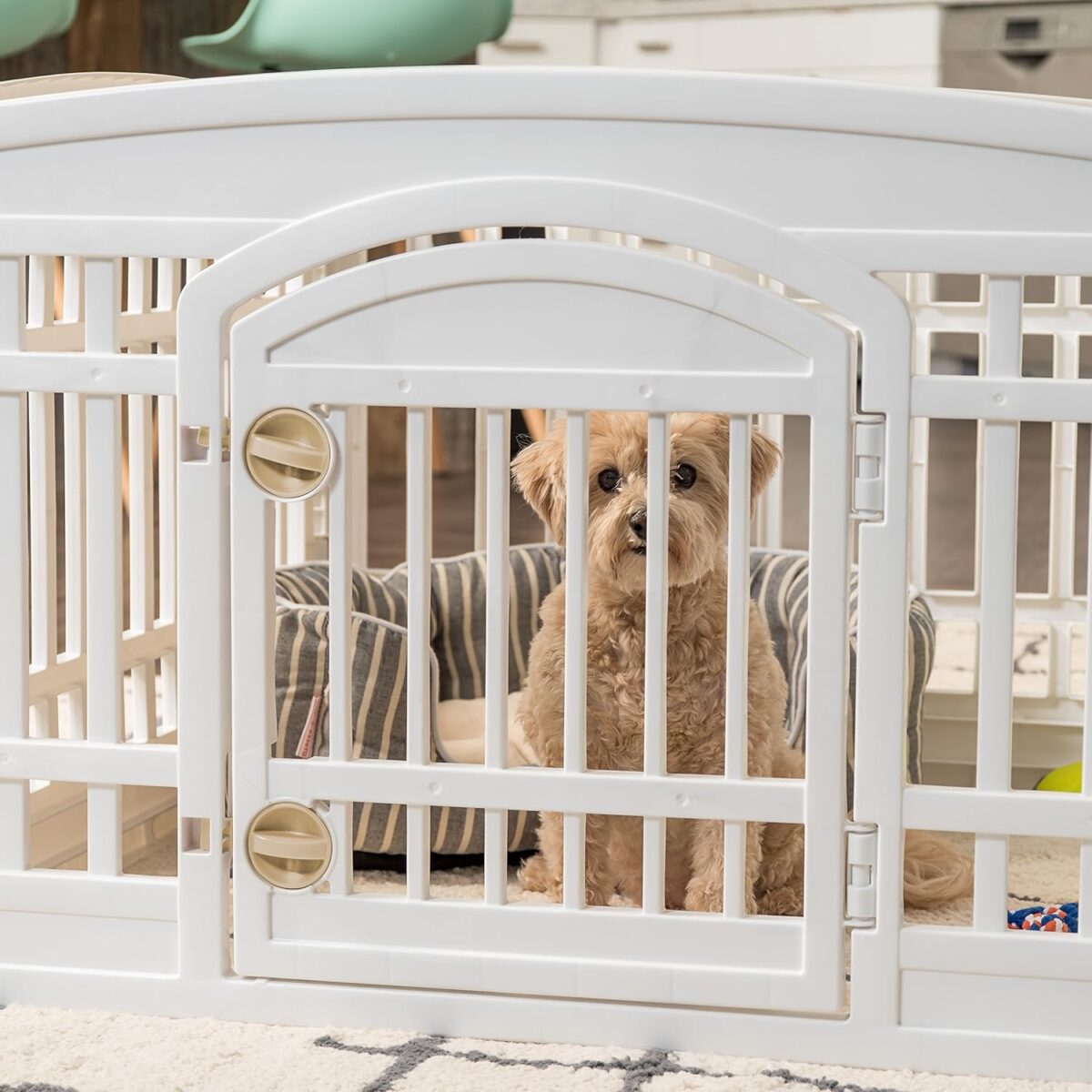 IRIS USA 24" 4-Panel Dog Playpen with Door, 35 x 35 x 24, Puppy Playpen, Dog Play Pen Indoors, Pet Fence, Puppies/Small Dogs, White - Image 11
