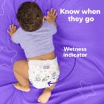 Luvs Size 3 Baby Diapers, Platinum Protection Bluey Diapers for Day & Night, Size 3, 234 Count (Packaging May Vary) - Image 12