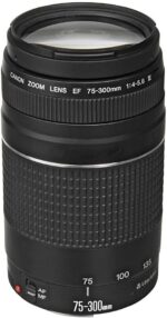 Canon EF 75-300mm f/4-5.6 III Telephoto Zoom Lens for Canon SLR Cameras, 6473A003 (Renewed) - Image 2