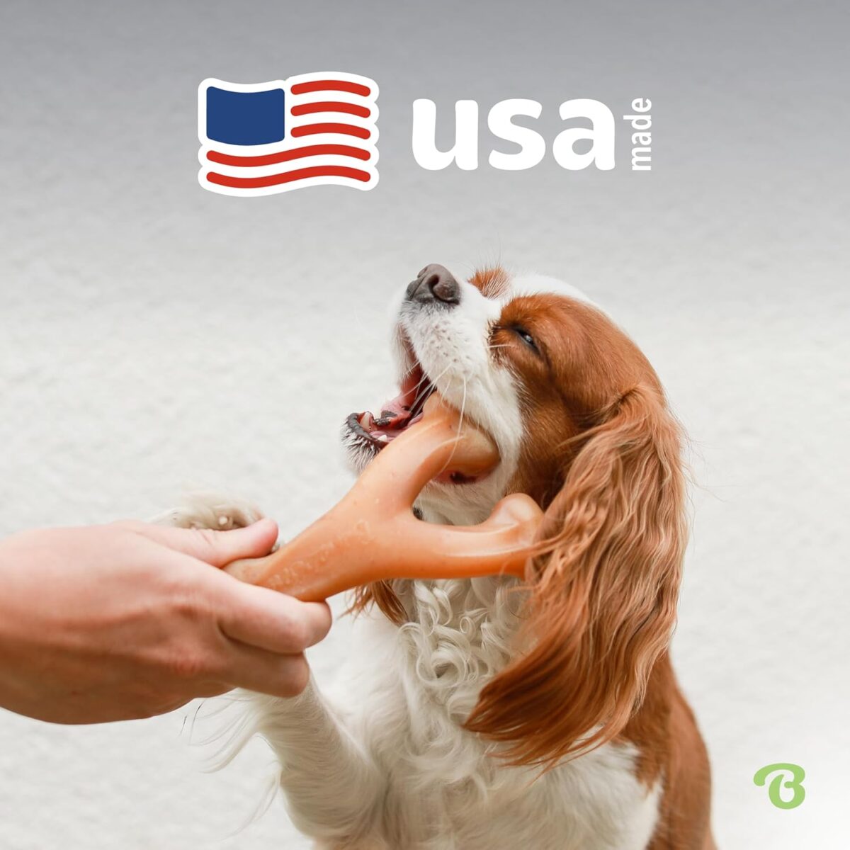 Benebone Wishbone Durable Dog Chew Toy for Aggressive Chewers, Real Bacon, Made in USA, Medium - Image 6