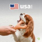 Benebone Wishbone Durable Dog Chew Toy for Aggressive Chewers, Real Bacon, Made in USA, Medium - Image 6