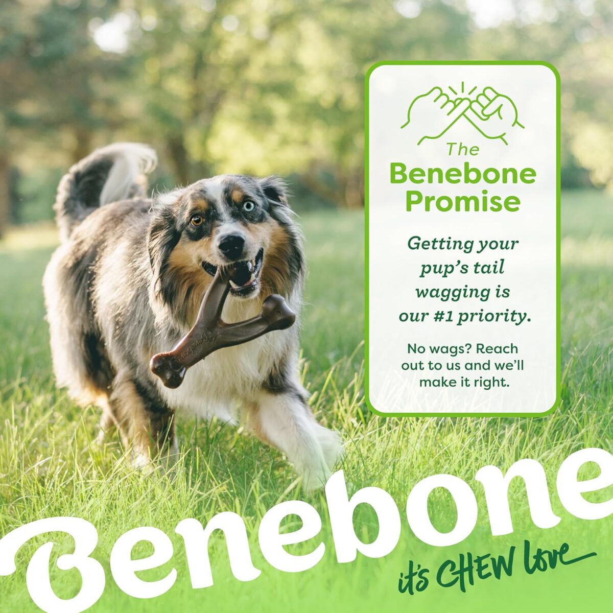 Benebone Wishbone Durable Dog Chew Toy for Aggressive Chewers, Real Bacon, Made in USA, Medium - Image 7