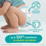 Pampers Training Pants - Easy Ups Boys & Girls Bluey - Size 5T-6T, 84 Count, Children's Potty Underwear (Packaging May Vary) - Image 5