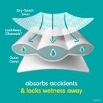 Pampers Training Pants - Easy Ups Boys & Girls Bluey - Size 5T-6T, 84 Count, Children's Potty Underwear (Packaging May Vary) - Image 9