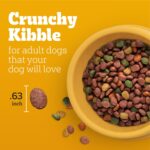 Pedigree Complete Nutrition Adult Dry Dog Food, Grilled Steak & Vegetable Flavor, 18 lb. Bag - Image 4