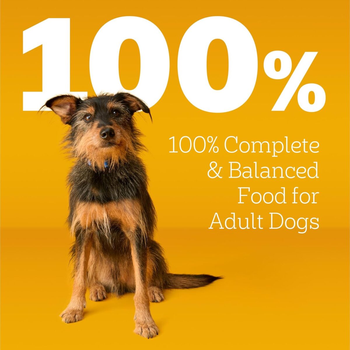 Pedigree Complete Nutrition Adult Dry Dog Food, Grilled Steak & Vegetable Flavor, 18 lb. Bag - Image 13