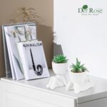 Der Rose 2 Pack Fake Plants Succulents Plants Artificial for Living Room Home Bathroom Office Decor - Image 3