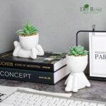 Der Rose 2 Pack Fake Plants Succulents Plants Artificial for Living Room Home Bathroom Office Decor - Image 5