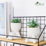 Der Rose 2 Pack Fake Plants Succulents Plants Artificial for Living Room Home Bathroom Office Decor - Image 7