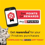 Purina Friskies Gravy Wet Cat Food Variety Pack, Surfin’ and Turfin’ Prime Filets Favorites - (Pack of 40) 5.5 oz. Cans - Image 12