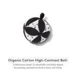 LOVEVERY | The Play Gym | Award Winning For Baby , Stage-Based Developmental Activity Gym & Play Mat for Baby to Toddler - Image 16