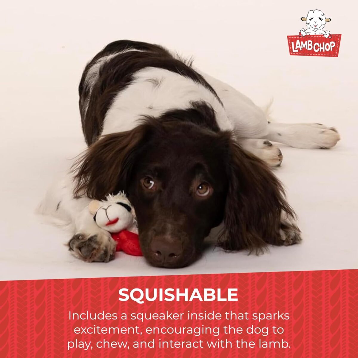 Multipet Lamb Chop Dog Plush Toy - Squeaky Toy for All Dogs - Extra Soft Plush - Stuffed Animal Dog Toy for Cuddling & Playing - Cute Pet Toy (6", Cream) - Image 6