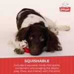 Multipet Lamb Chop Dog Plush Toy - Squeaky Toy for All Dogs - Extra Soft Plush - Stuffed Animal Dog Toy for Cuddling & Playing - Cute Pet Toy (6", Cream) - Image 6