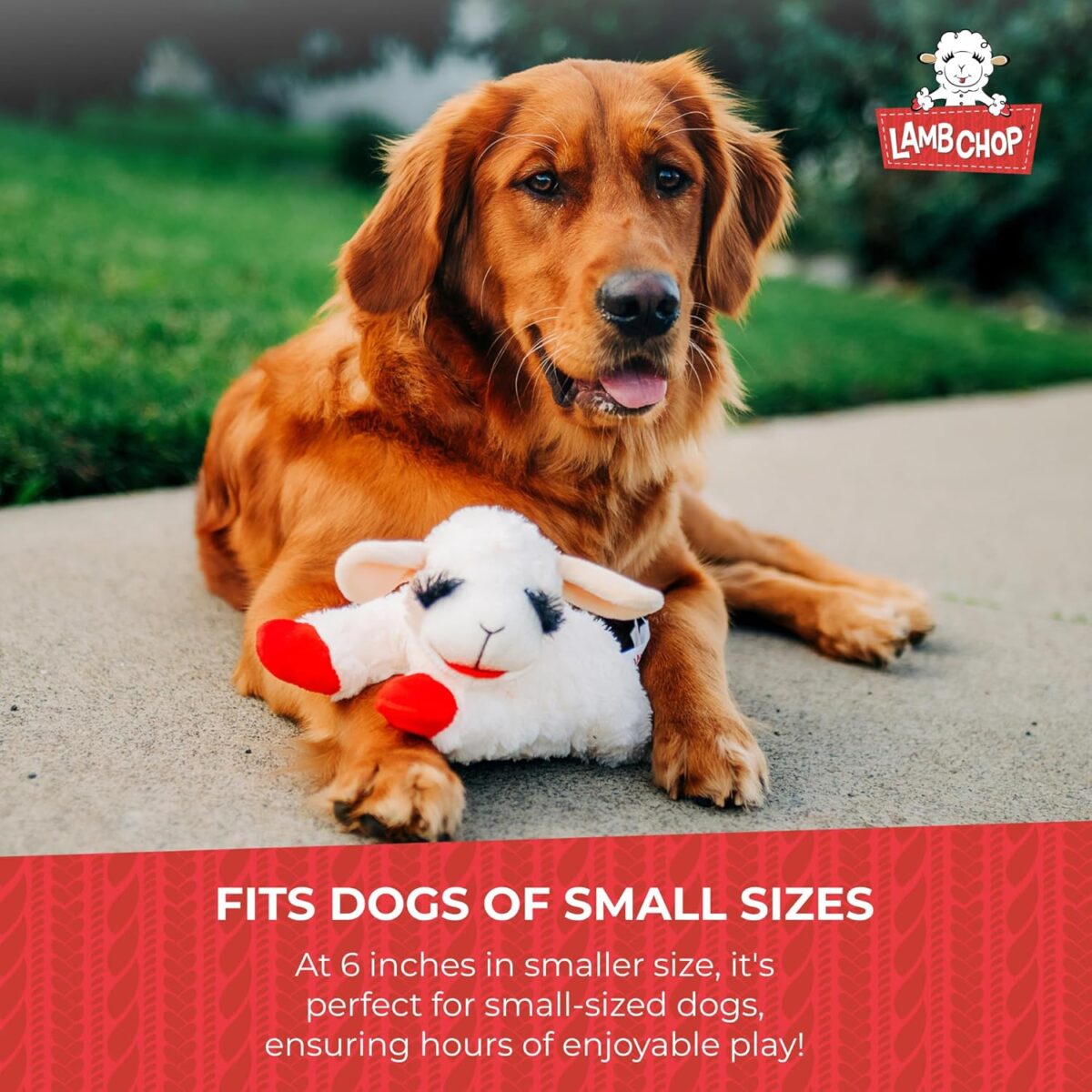 Multipet Lamb Chop Dog Plush Toy - Squeaky Toy for All Dogs - Extra Soft Plush - Stuffed Animal Dog Toy for Cuddling & Playing - Cute Pet Toy (6", Cream) - Image 9