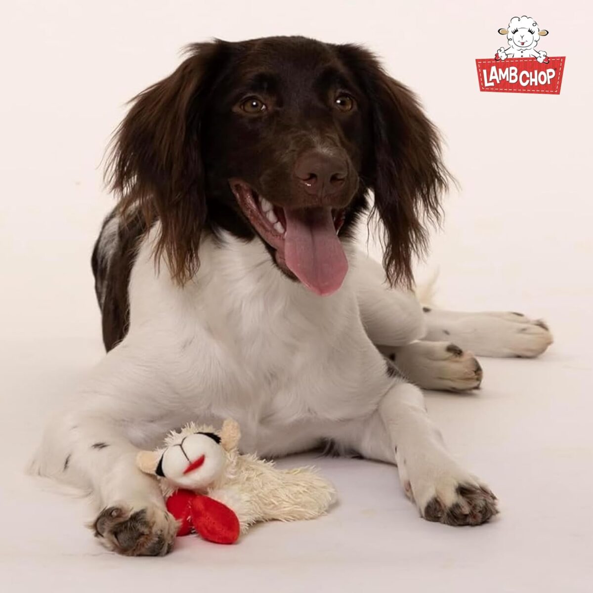 Multipet Lamb Chop Dog Plush Toy - Squeaky Toy for All Dogs - Extra Soft Plush - Stuffed Animal Dog Toy for Cuddling & Playing - Cute Pet Toy (6", Cream) - Image 10