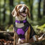 Joytale Reflective Dog Collar,Soft Neoprene Padded Breathable Nylon Pet Collar Adjustable for Large Dogs,Purple,L - Image 3